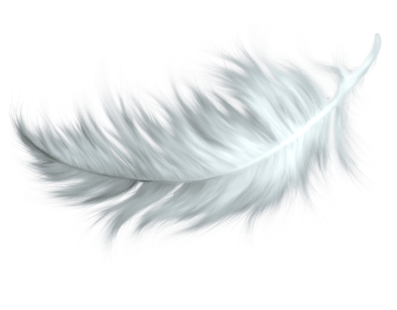 Dee Buchanan - Funeral Celebrant feather peace background